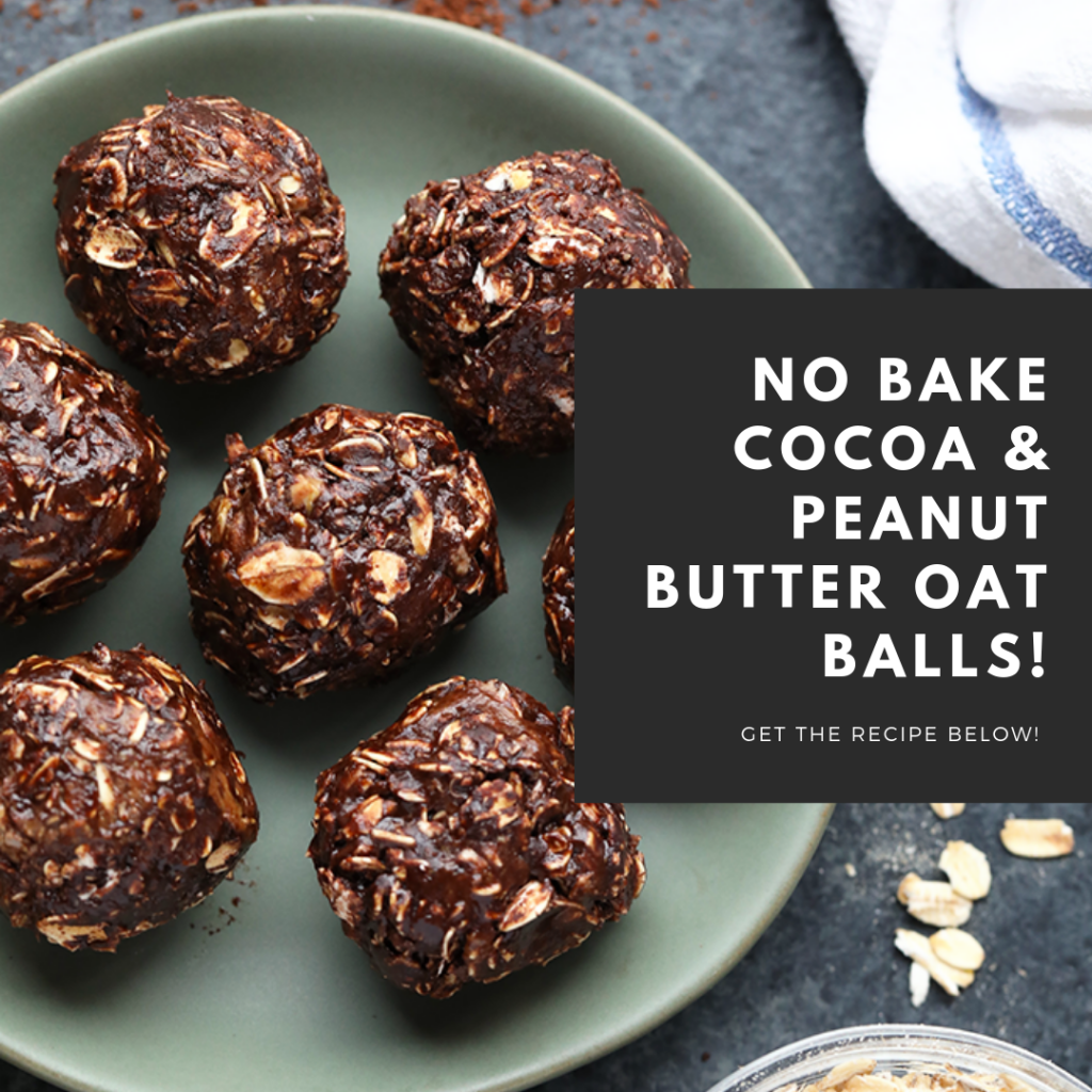 NO BAKE COCOA & PEANUT BUTTER OAT BALLS Dietwise